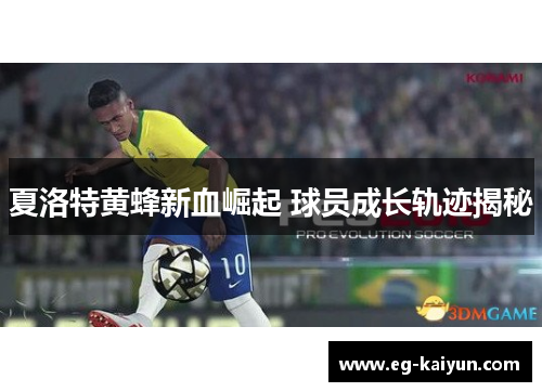 夏洛特黄蜂新血崛起 球员成长轨迹揭秘