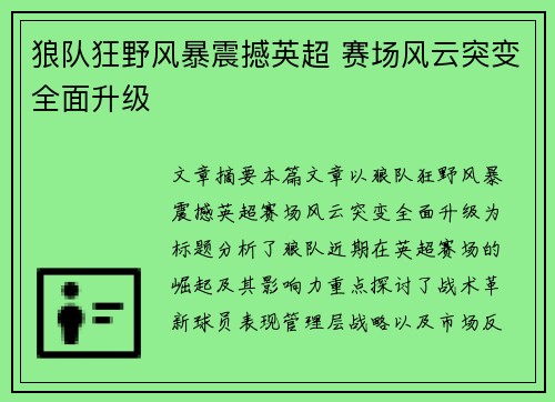 狼队狂野风暴震撼英超 赛场风云突变全面升级